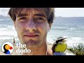 Young Couple Become Parents After Rescuing A Baby Bird | The Dodo