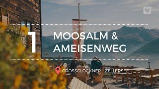 De 'Goldene' herfst in Oostenrijk - Aflevering 1: Moosalm \u0026 Ameisenweg