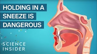 Is Holding In A Sneeze Actually Unhealthy?
