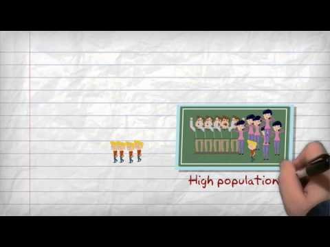 What factors contribute to high population density in a region?