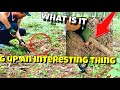 I dig with a metal detector. Findings in the secret forest. What did I find? There is a lot here