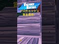 ソロ大会で賞金獲得！ フォートナイト fortnite short shorts highlights プロゲーマー ゲーム apexpromini フォートナイトキル集