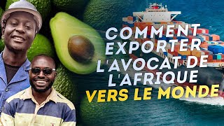 Comment exporter l'avocat de l'Afrique vers le reste du monde: NOUVEAU PROJET