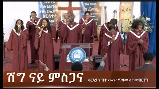 ሽግ ናይ ምስጋና ኣርኣያ ሃብተ cover ጥዓመ ኣተወብርሃን