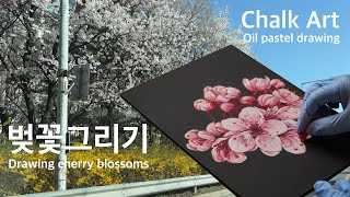 Drawing Cherry blossoms