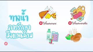 ประชาสัมพันธ์ประเพณีลอยกระทง ประจำปี 2567