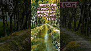 আলহামদুলিল্লাহ সামনে পবিত্র রমজান মাস সবাই এই দোয়া বেশি করে আমল করি #ইসলামিক_ভিডিও #loveallahﷻ