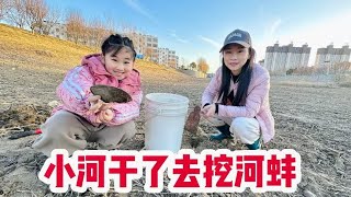 小河沟干了，泥里的河蚌跟白捡似的，一个接一个挖的太爽了