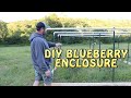 DIY Blueberry Enclosure ~ Cheap and Easy!