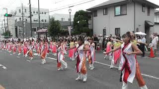 新・もみさんぽ　銭形よさこい（ミッキー新体操クラブ連）【香川県観音寺市】（令和６年・２０２４）