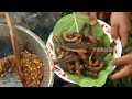 Resep Asik Masak Belut Seriut Ala Bolang | BOCAH PETUALANG (02/03/21)