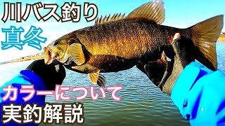 真冬の川 バス釣り 川 スモールマウスバス 釣り フリーリグ　ビビビバグ