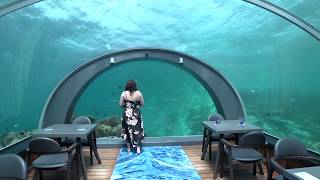 5.8 Undersea Restaurant, el restaurante debajo del mar más grande del mundo en Maldivas