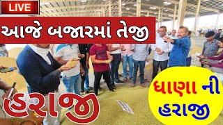 🔴 live coriander trading in jamnagar APMC||ધાણા ના ભાવ||March 24, 2023 | ધાણા ની હરાજી |