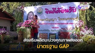 รมช.เกษตรฯ ส่งเสริมผลิตมะม่วงคุณภาพส่งออกมาตรฐาน GAP