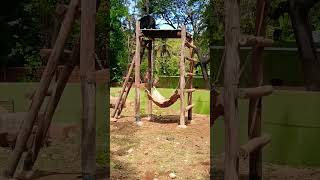 Sloth Bear 🐻🐨 Fights hard .Zoo Video Wild life sensational video