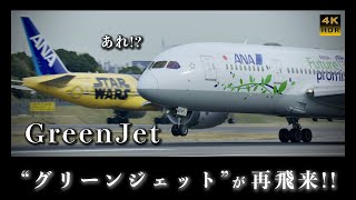 【伊丹空港】ANA Green Jetが再飛来!! Boeing 787-8［JA874A］ITM / RJOO 離着陸【4K60P HDR】