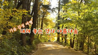 [드론기행] 가을 감성 여행 - 내려놓는 것의 아름다움