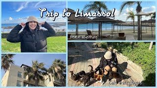 A TRIP ✈️ TO LIMASSOL, CYPRUS 🌴 🌊  (travel vlog)