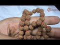 rudraksha mala premium quality 9987835118