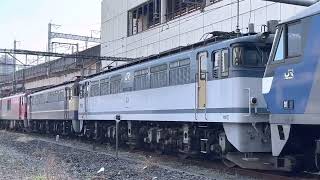 3/15 単8283 OM入場車回送列車EF210-161 EF65-2076 EF65-2139 EH500-38  ＠大宮駅