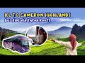 Adventurous Trip from KL to Cameron Highlands by Bus🚌💨