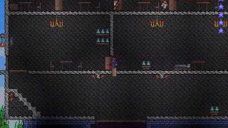 Terraria House