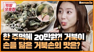 삼시세끼 승원오빠가 캐던 거북손 먹으러간 박수진 | [다시보는 테이스티로드 : 먹방모음집] Barnacle Eating Show