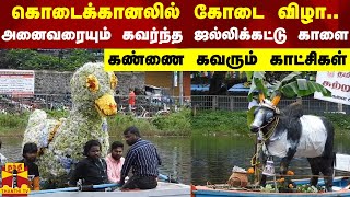 கொடைக்கானலில் கோடை விழா..அனைவரையும் கவர்ந்த ஜல்லிக்கட்டுக் காளை - கண்ணை கவரும் காட்சிகள்