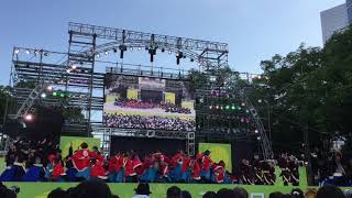 どまつり2017 名古屋大学快踊乱舞さん 27日メイン会場