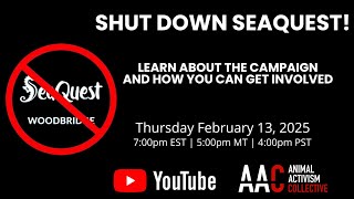 Shut Down SeaQuest: Learn About the Campaign and How You Can Get Involved!