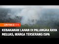 Kebakaran Lahan di Palangka Raya Meluas ke Kotawaringin Timur, Wilayah Diselimuti Asap | Liputan 6