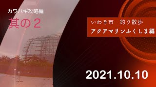 いわき市の釣り場　アクアマリンふくしま編　カワハギ編　其の２　2021/10/02