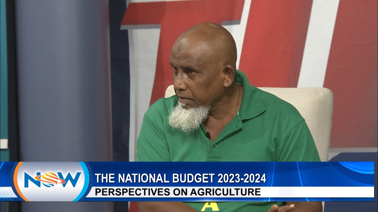 The National Budget 2023/2024 - Perspectives On Agriculture - YouTube