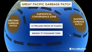 Great Pacific Garbage Patch: A trash pile twice the size of Texas