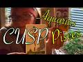 WHAT YOU ASKED FOR IS KNOCKING | Aquarius Pisces Cusp Timeless Astrology Tarot Horoscope Today