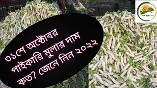 ৩১ অক্টোবর কাঁচা মুলার পাইকারি দাম।Find out the wholesale price of Radish on 31 October 2022