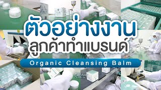 ตัวอย่างงานลูกค้าทำแบรนด์ 09 l Creambuilding