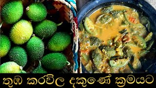 Thuba karawila curry recipes sinhala : තුම්ඹ  කරවිල කිරට උයමු , village cooking with amma, 😋🌿