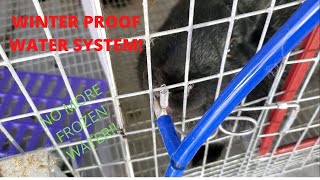 Winter proof heated, circulating rabbit water system | DIY water system build