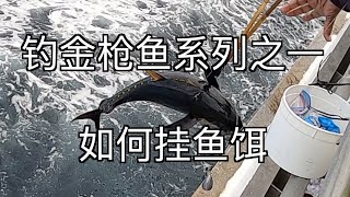 钓金枪鱼系列之一（如何挂鱼饵）Tuna Fishing