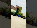 bina piyale tiwari ji ke nasha bhayil ba bhojpuri_status dance shortsvideoviral