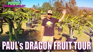 PAULs MEGA DRAGON FRUIT TOUR ( FULL TOUR ) / OVER 300 VARIETIES