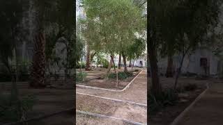 1400 Year Old Garden : Ziyarat E Madina where Prophet and Sahaba offered Nawafil