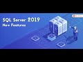 5 #SQL #Server #DELETE   #Remove #One or #More #Rows #From a #Table