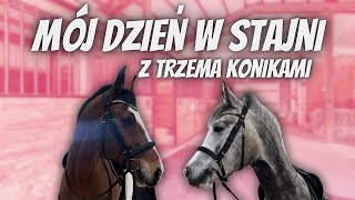 MÓJ DZIEŃ W STAJNI Z TRZEMA KOŃMI - LUŹNY VLOG