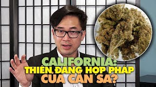 California, thiên đàng của cần sa: Được phép hút, trồng, mua bán hợp pháp