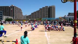 運動会 2014 姪っ子 リレー01