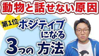 アニコミとポジティブが深い関係にある？【アニマルコミュニケーション】