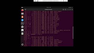 Removing the Ansible Python warning